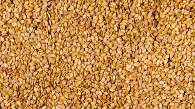 garnishing-instructions-image